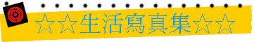 photobtn.gif (3847 �Ӧ줸��)